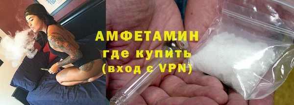 прущие грибы Балахна