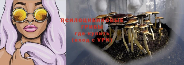 прущие грибы Балахна