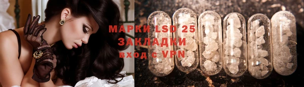прущие грибы Балахна