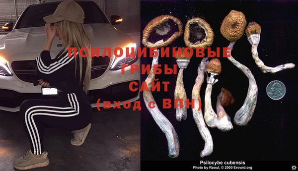 ECSTASY Балабаново