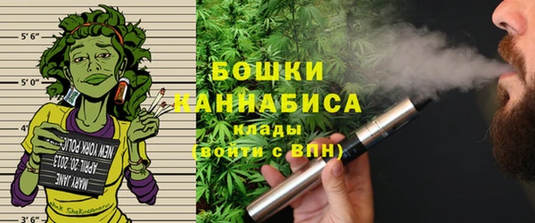 Альфа ПВП Верея