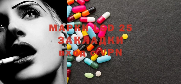 прущие грибы Балахна