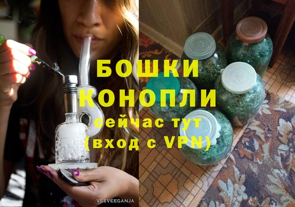твердый Гусев