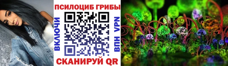 blacksprut сайт  Печора  Псилоцибиновые грибы прущие грибы 
